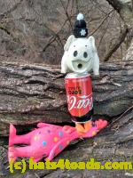 /home//u458753944/public_html/sourcegallery/////////Chickens/Soda Addiction/IMG_20210116_111017048_HDR.jpg